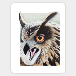 Horned Owl Sticker